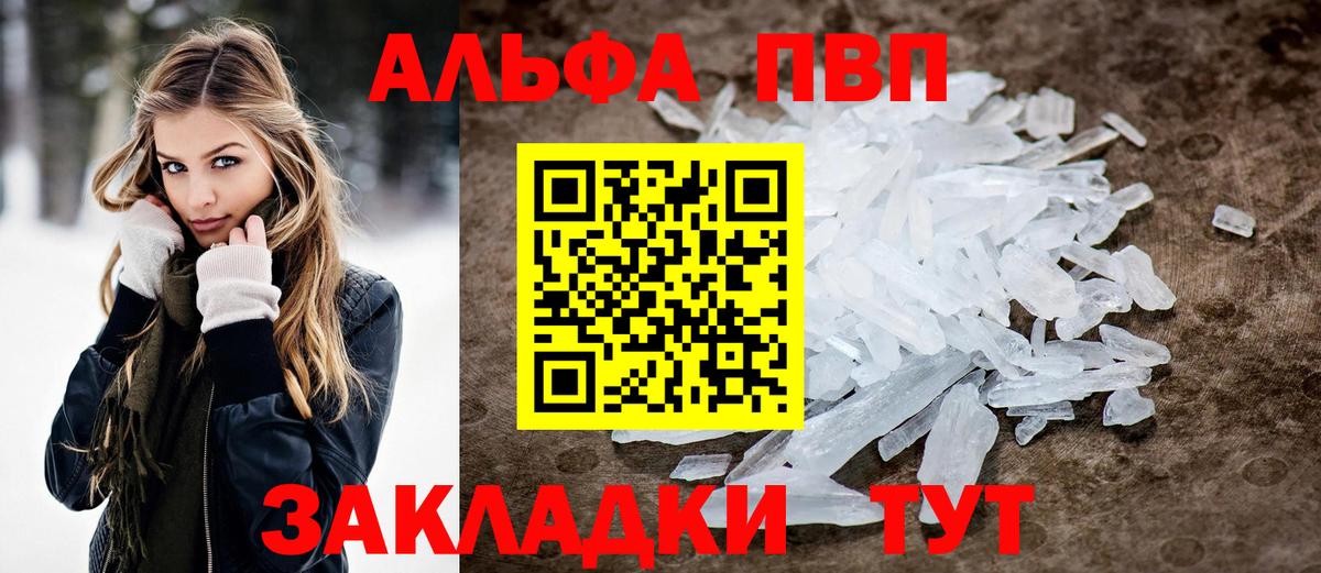 Alfa_PVP СК Сосновый Бор