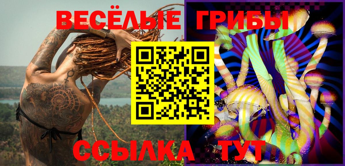 Галлюциногенные грибы Cubensis  Вход с VPN  Сосновый Бор  Псилоцибиновые грибы мицелий 
